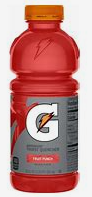 Gatorade Fruit Punch 20 oz