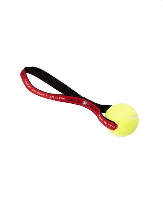 Ole Red Tennis Ball Toss Toy