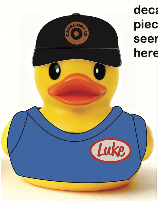 Category 10 Luke Duck