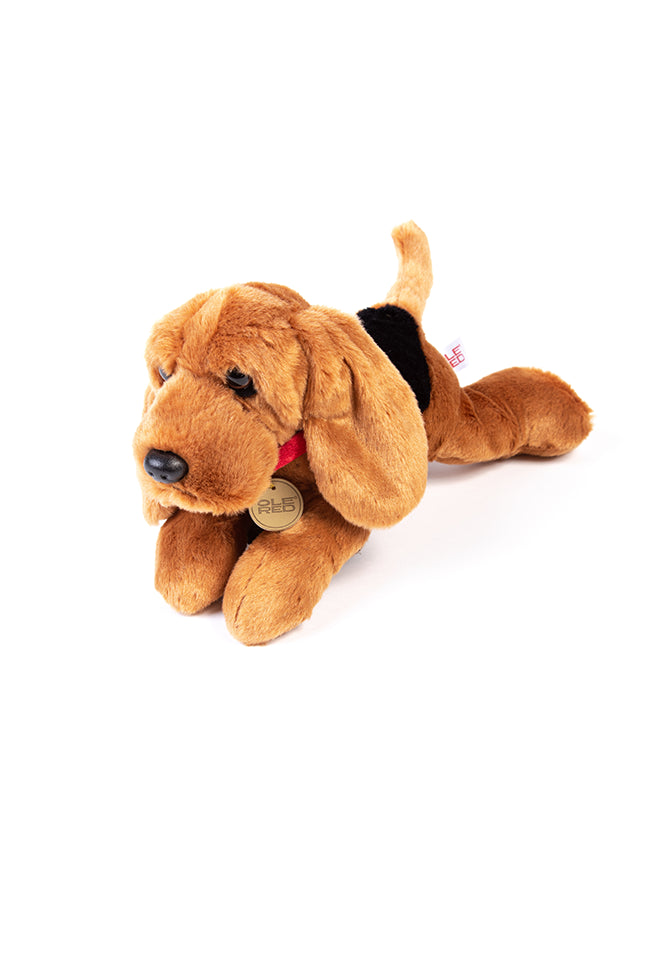Ole Red Bloodhound Plush
