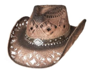 Magnificent Rhinestone Cowboy Hat