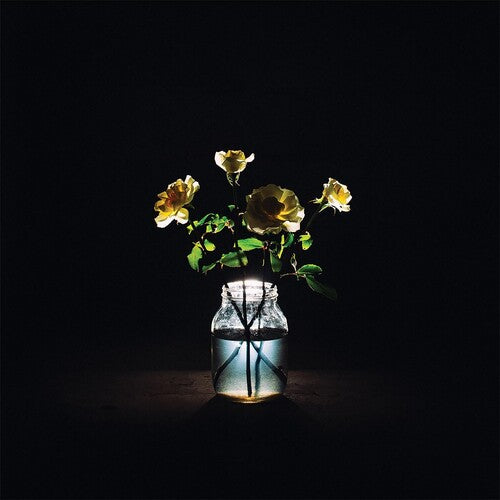 Billy Strings: Renewal (LP)